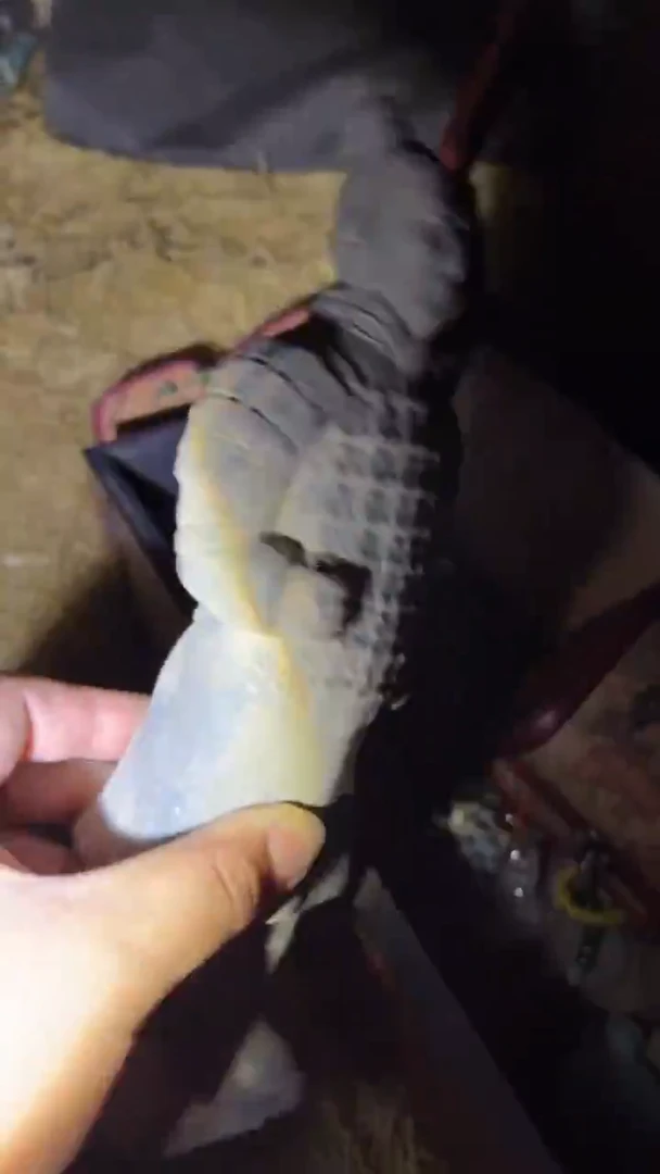 瓷片多多专属精品链接