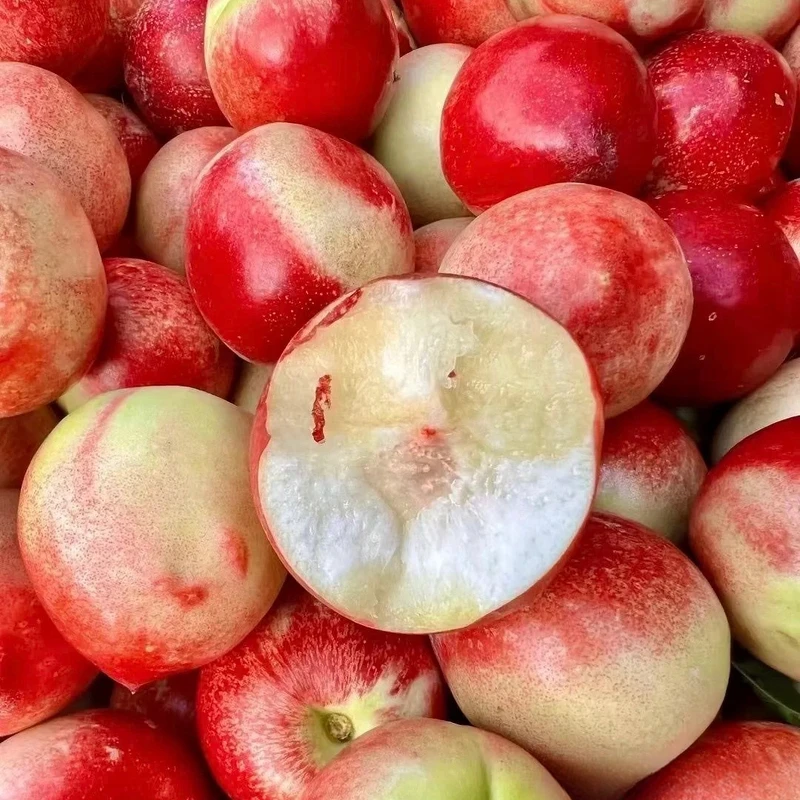 【童小姐】新疆珍珠枣油桃净果2斤顺丰包邮次日送达当季新鲜水果桃子黑龙江省