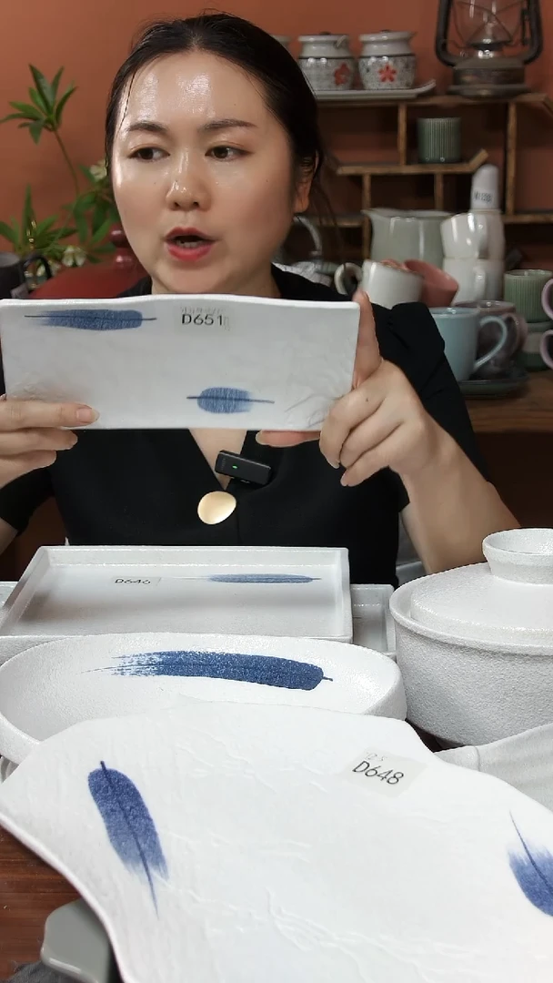 碗D651陶瓷小长盘一件套微瑕