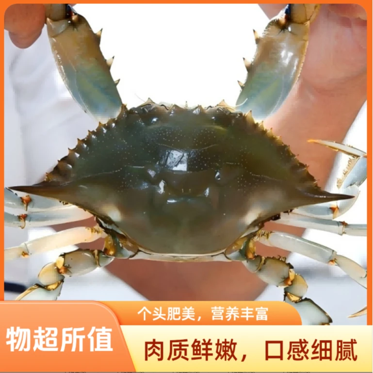 推荐 冰鲜梭子蟹 蓝蟹  （非活蟹 介意勿拍）斤数可选