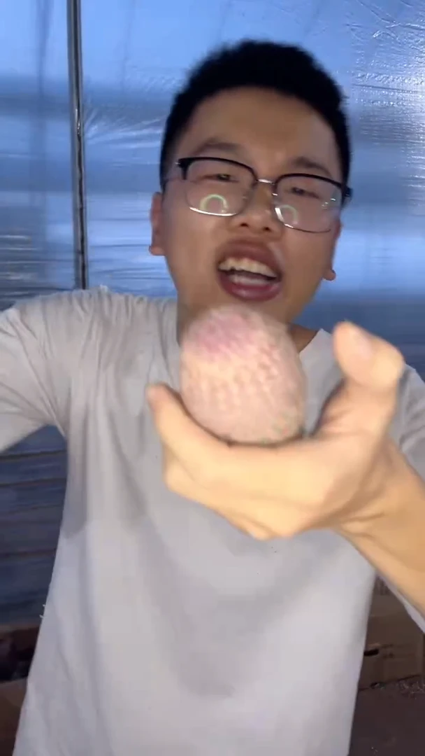 2颗 实生根 红太阳