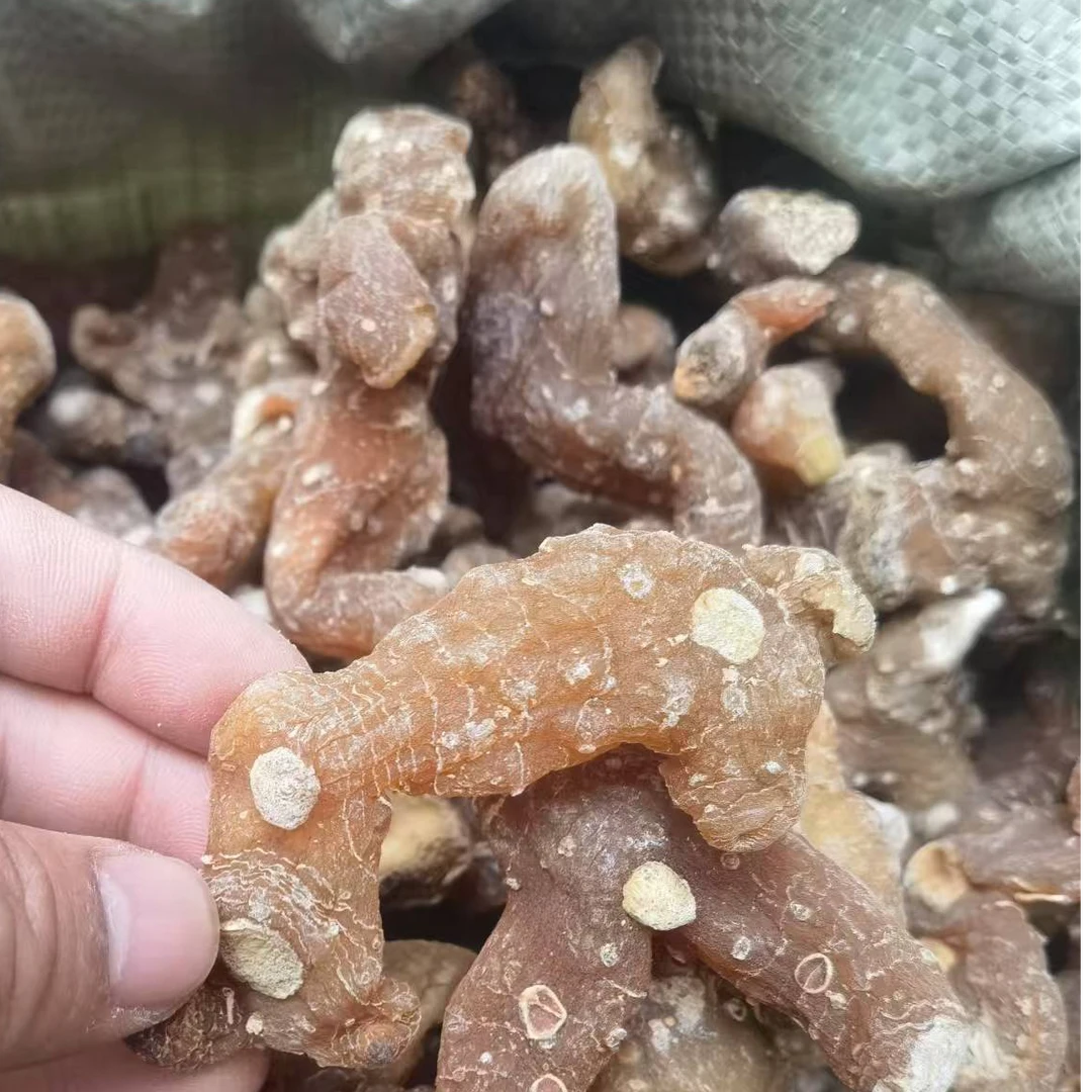 张正带你逛中原早市【老虎姜】