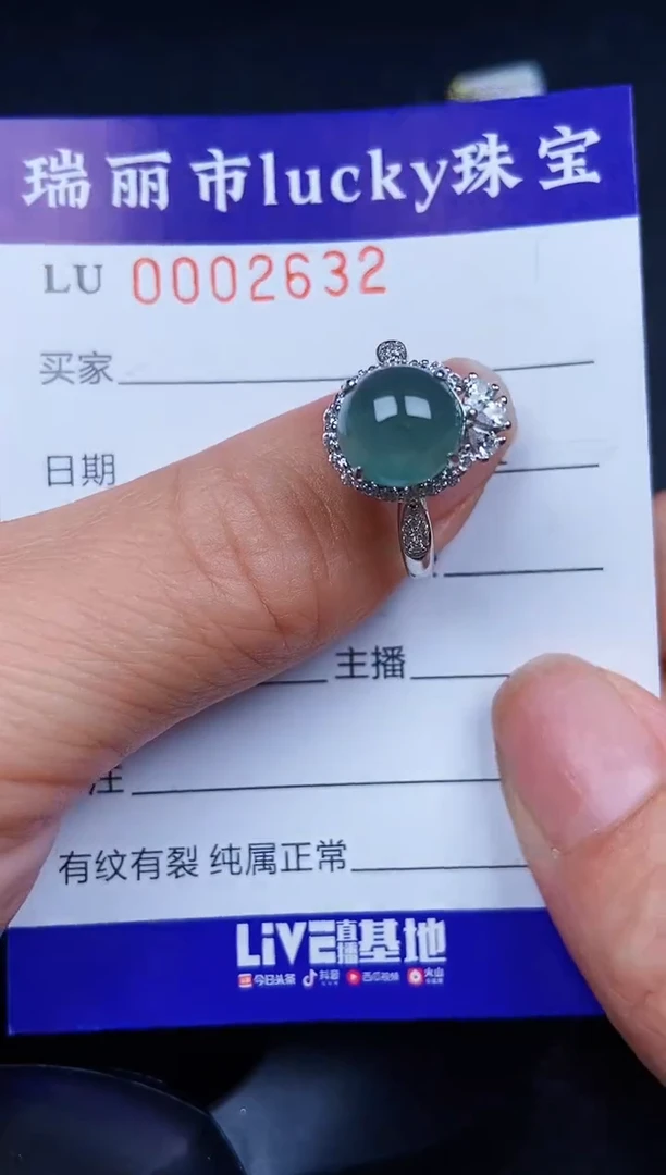 翡翠银S925镶嵌颈饰2632