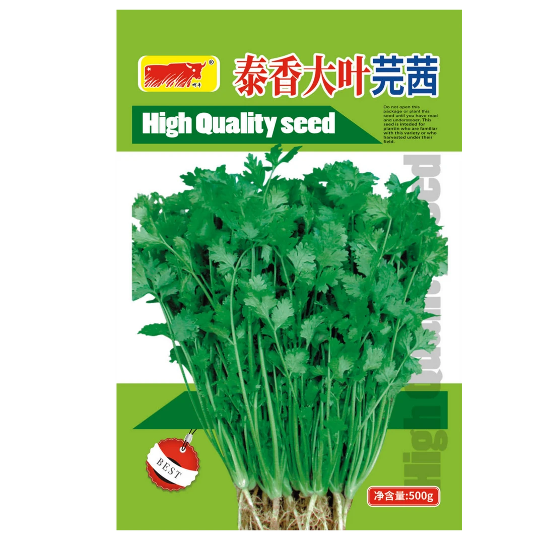 泰香芫茜种子芥菜蔬菜香菜种子(净含量:500克)
