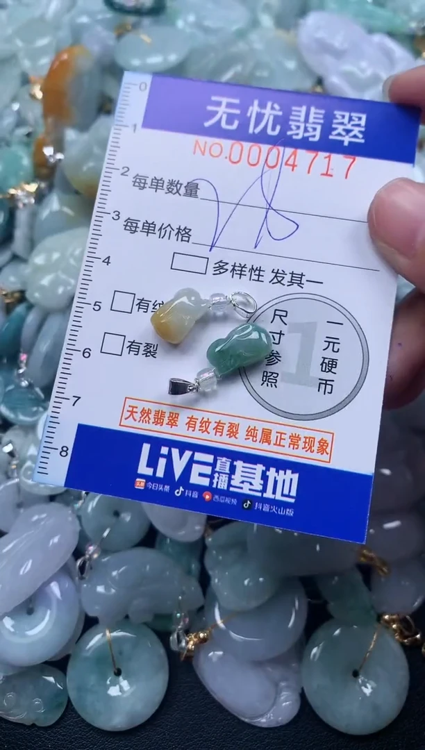 颈饰未镶嵌翡翠4717