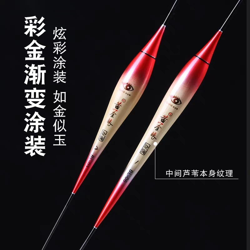 黄金眼日夜两用芦苇硬尾咬钩变色电子漂