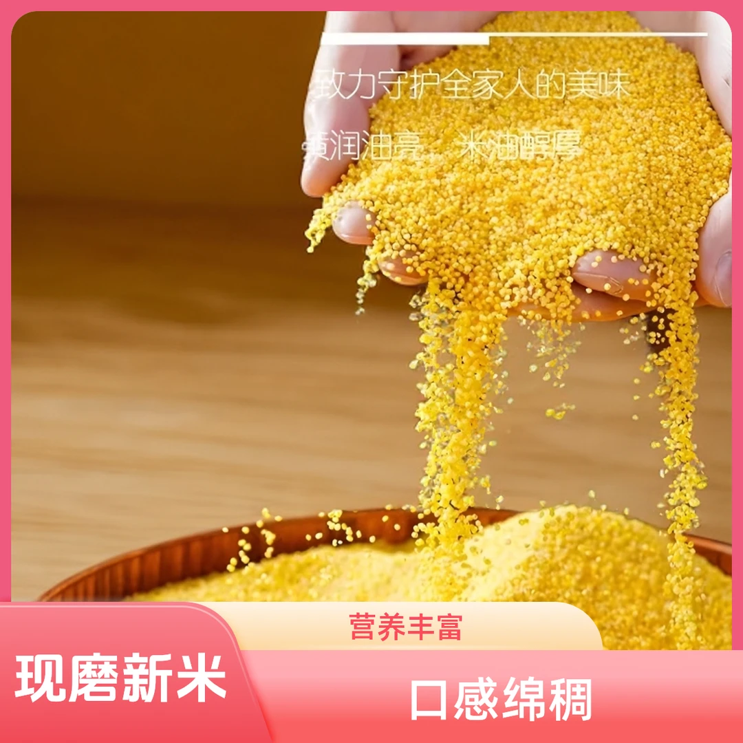 现磨新米熬粥米油多的新鲜黄小米优质五谷杂粮早餐黄金小米粥