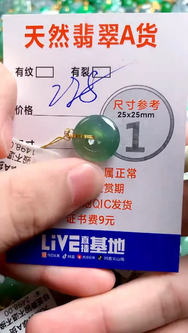 翡翠18K金镶嵌颈饰0415785496