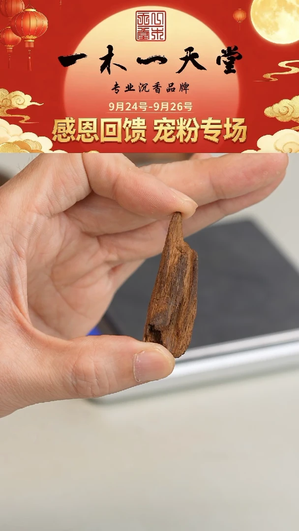 沉香沉香碎屑富森红土沉水3.1g