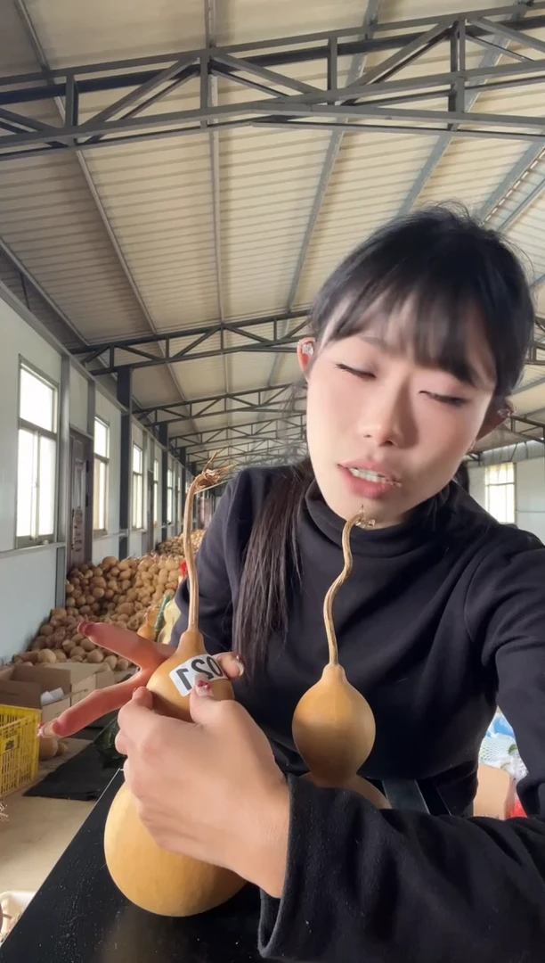 021天然葫芦摆件 一物一拍龙头不保售后