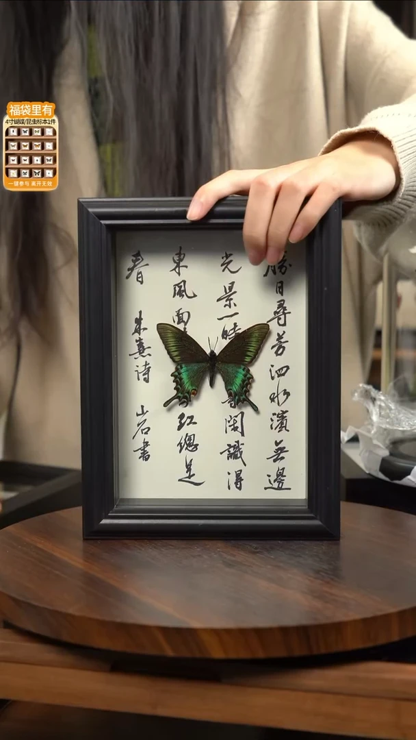 绿带翠凤蝶春型书法款