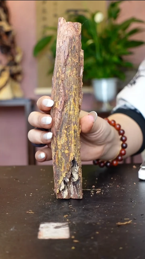 降真香海南降真香大叶原料100克