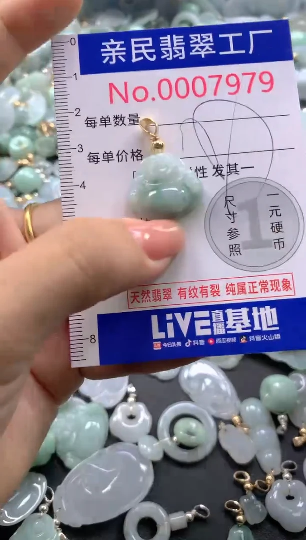颈饰未镶嵌翡翠7979
