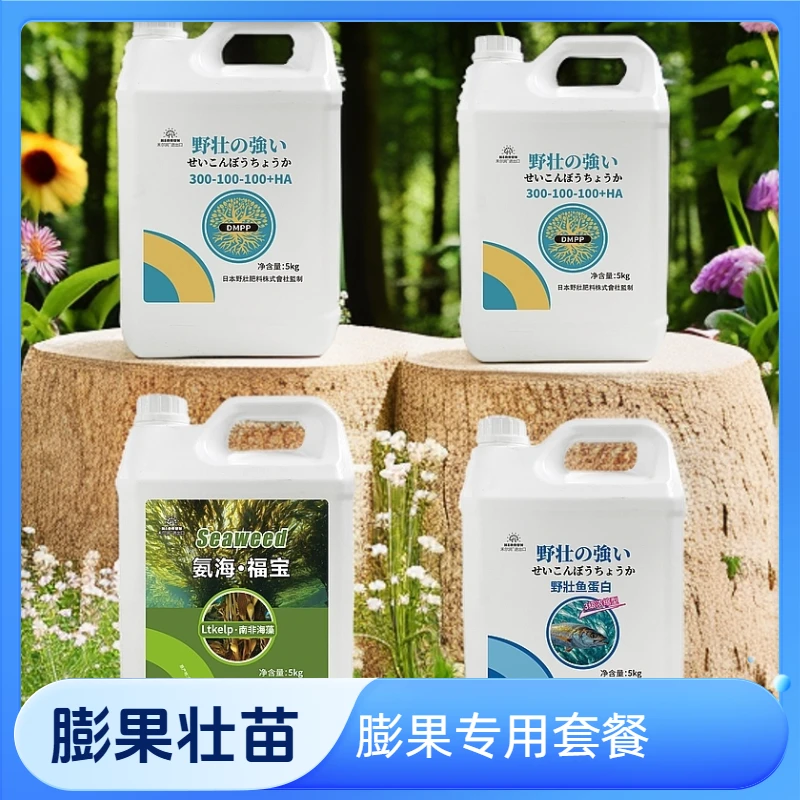 生根膨果一号套餐 生根提苗膨果三合一