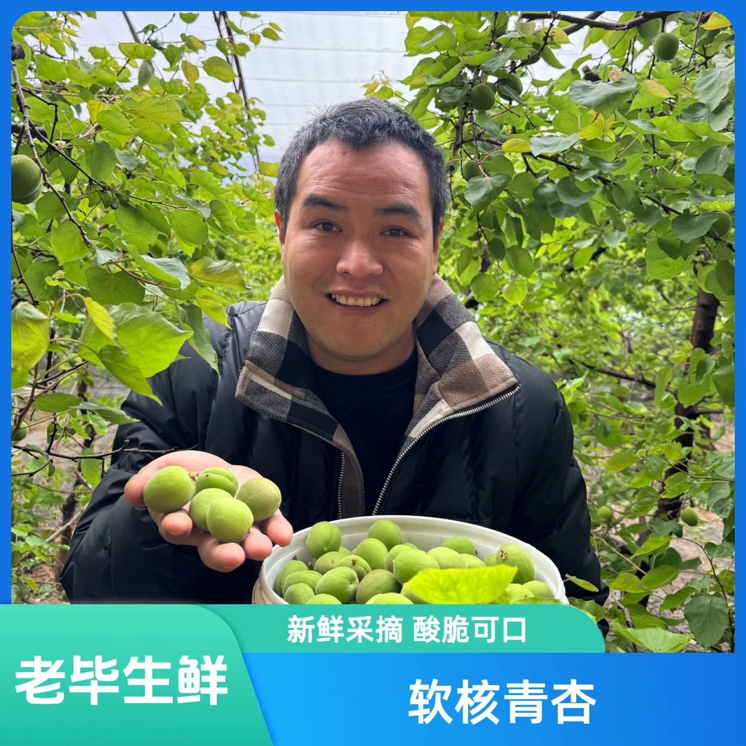 【25年软核青杏】小青杏纯酸杏酸脆爽口优质孕妇水果