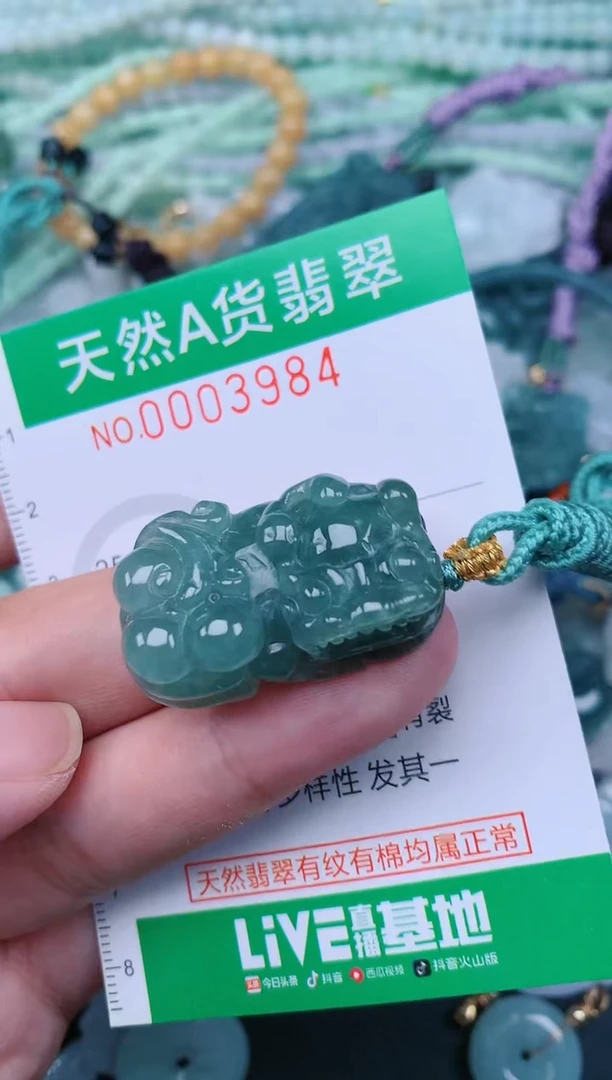 翡翠未镶嵌颈饰.0003984