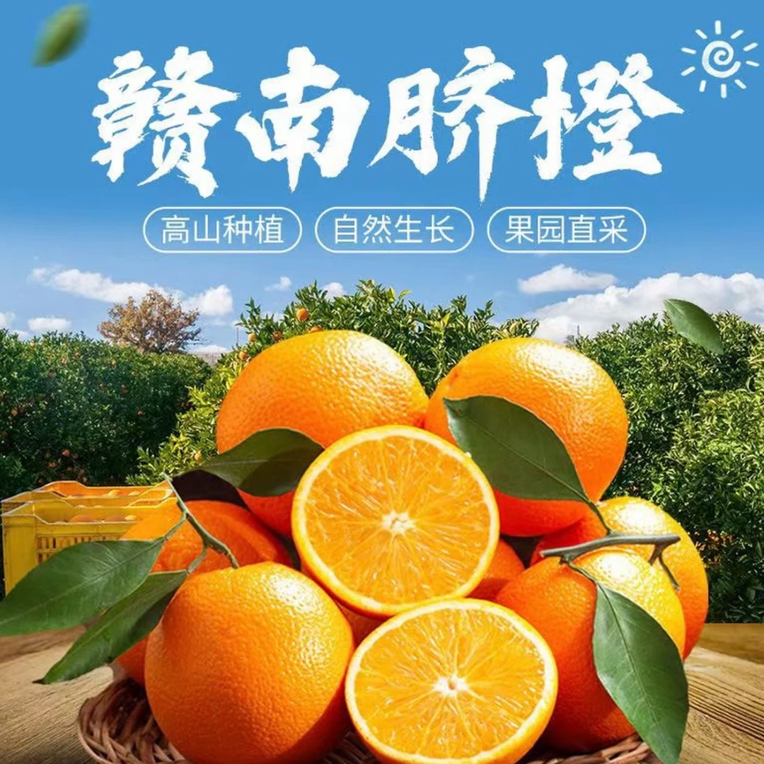 江西赣南脐橙新鲜现摘香甜多汁橙香味浓LQ