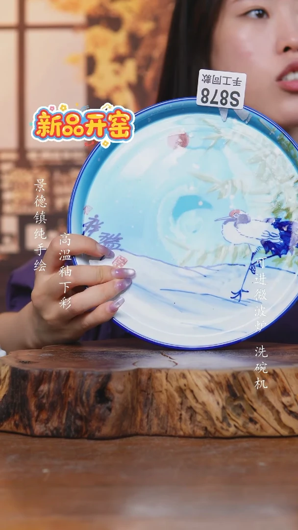 其他878老陶泥盘子