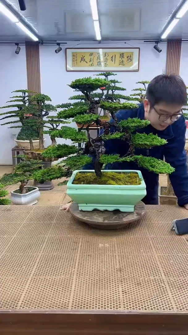 无花朵收*00000000000000