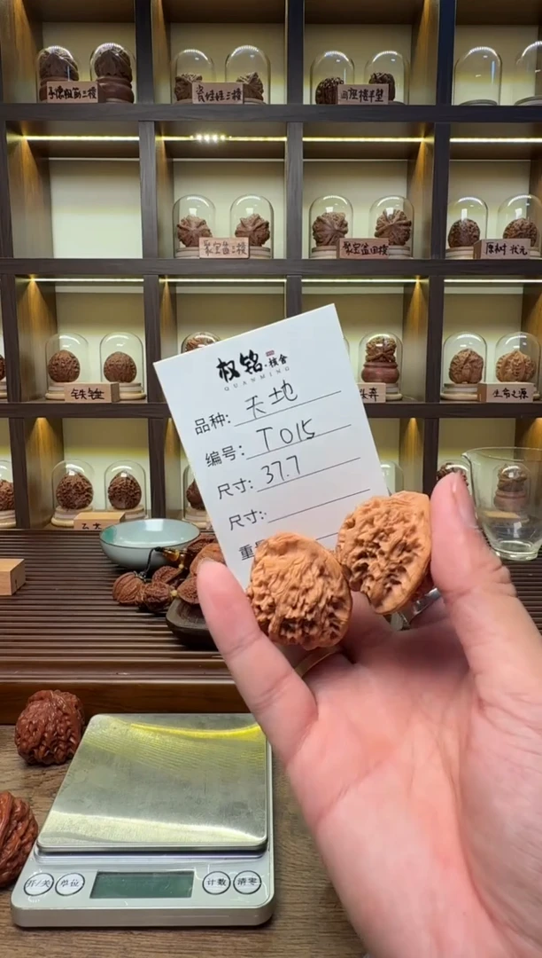 把件文玩核桃t015天地37.7