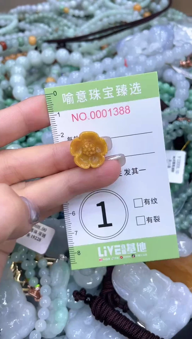 颈饰未镶嵌翡翠0101