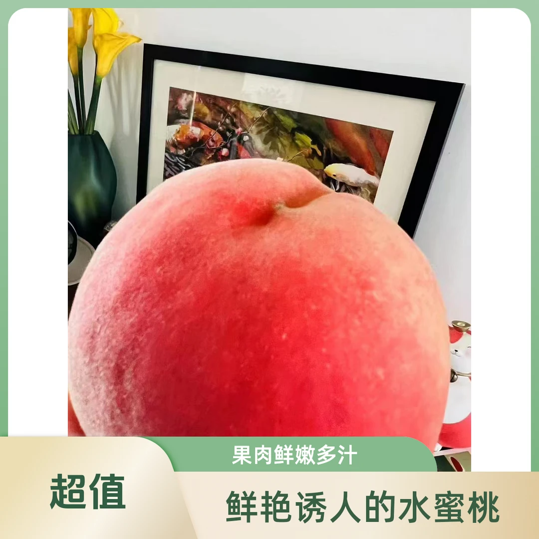 深州西马庄新鲜现摘秋彤晚蜜桃当季应季水果酸甜爽口京东包邮