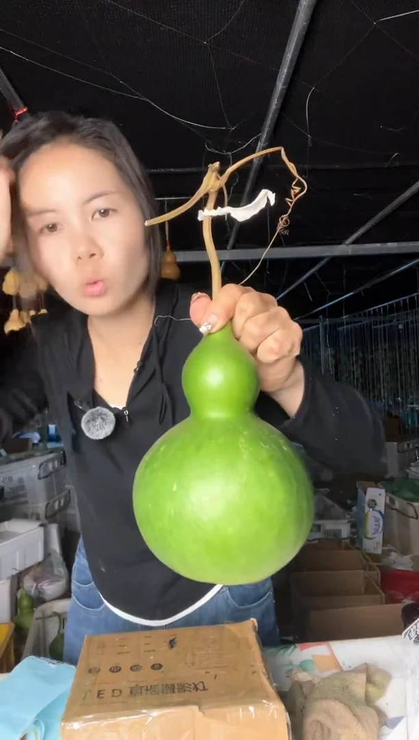 433天然葫芦摆件 一物一拍龙头不保售后