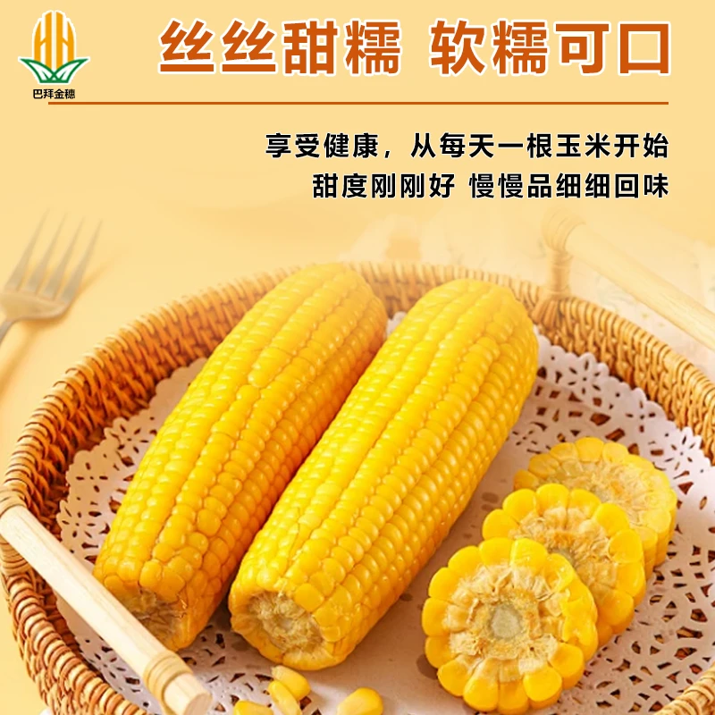 黄金262黑龙江鲜食玉米8支*箱