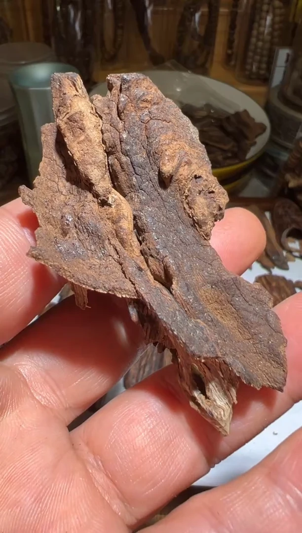 沉香沉香碎屑芽庄5.5克