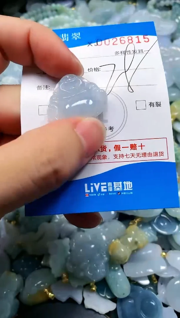 颈饰未镶嵌翡翠闪购商品0026815