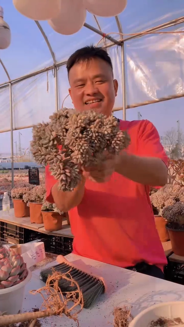 【闪购商品】缀化175