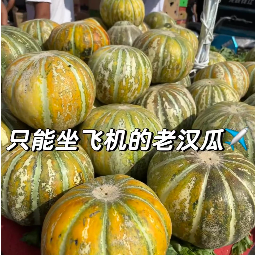 新疆正宗老汉瓜京东空运直发