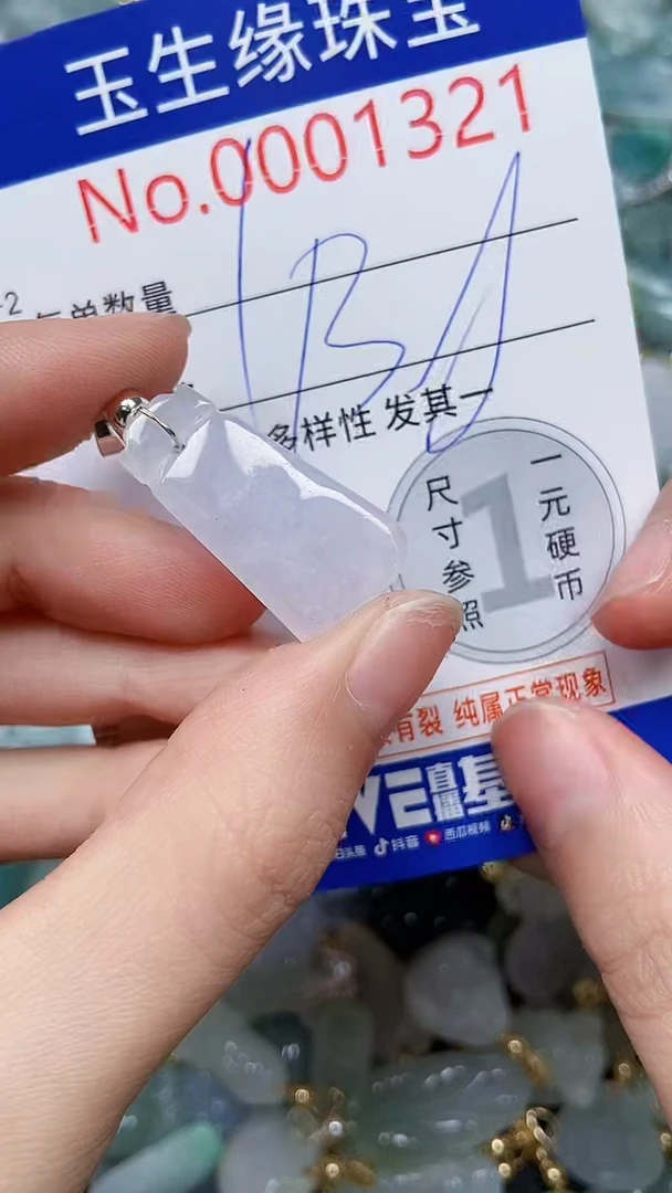 【闪购商品】翡翠颈饰未镶嵌闪购00001321