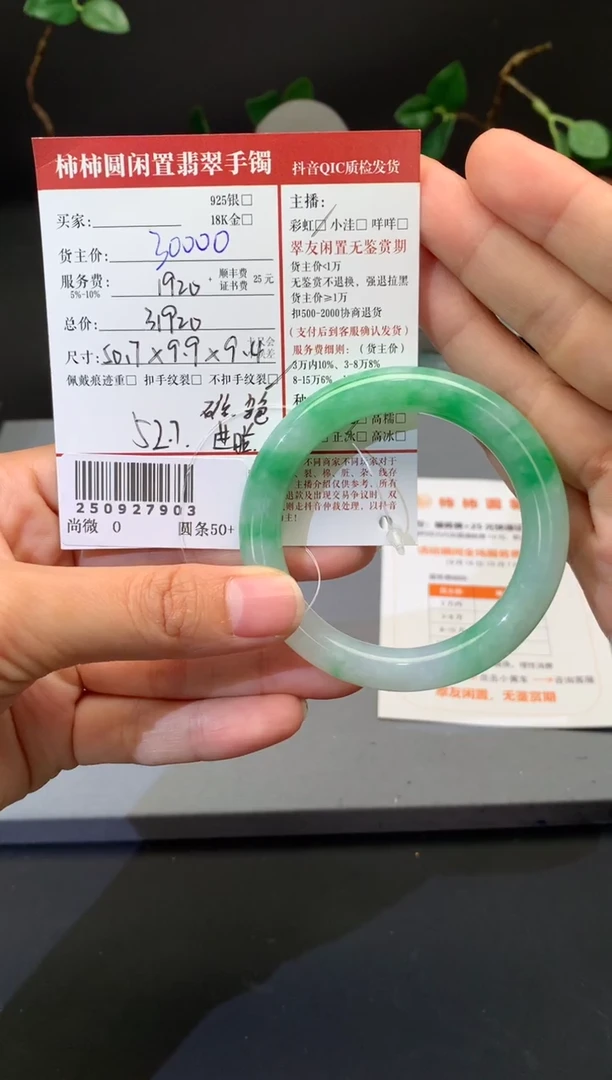 未镶嵌手镯翡翠姐姐250927903