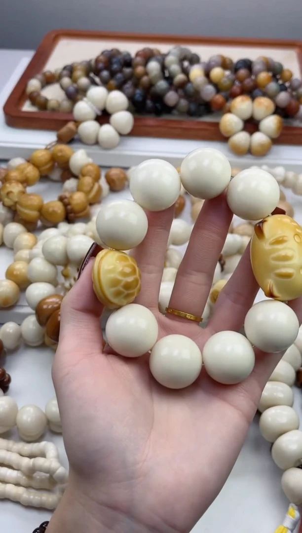 手串菩提根/象牙果象牙果圆珠20+富甲法棍猫