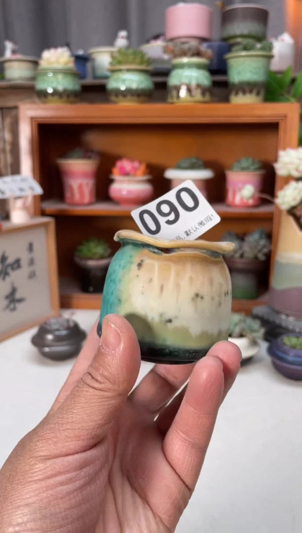 瓷片090小芳直播编号