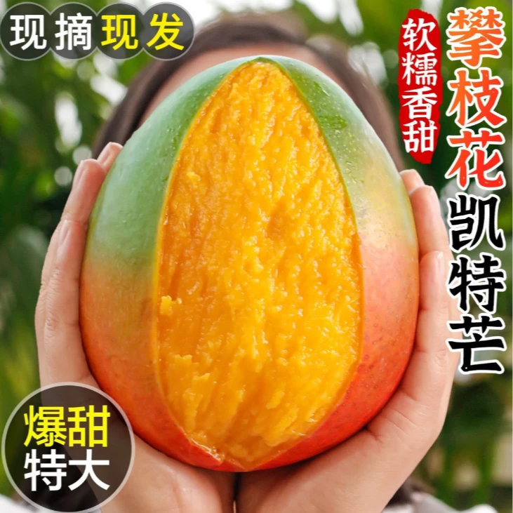 四川攀枝花当季头茬高山凯特芒新鲜现摘青皮芒果香甜多汁大脸芒