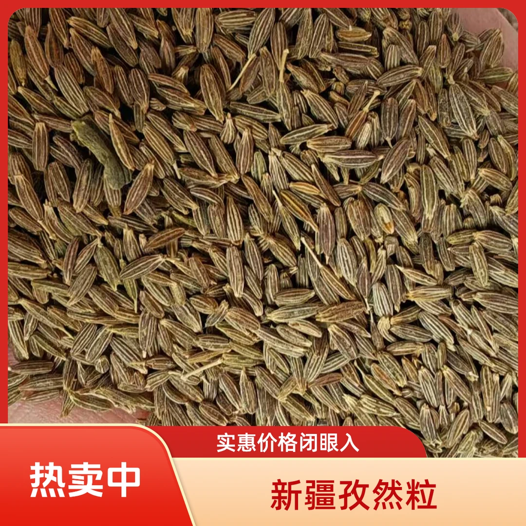 新疆原产地孜然粒 山东仓直发