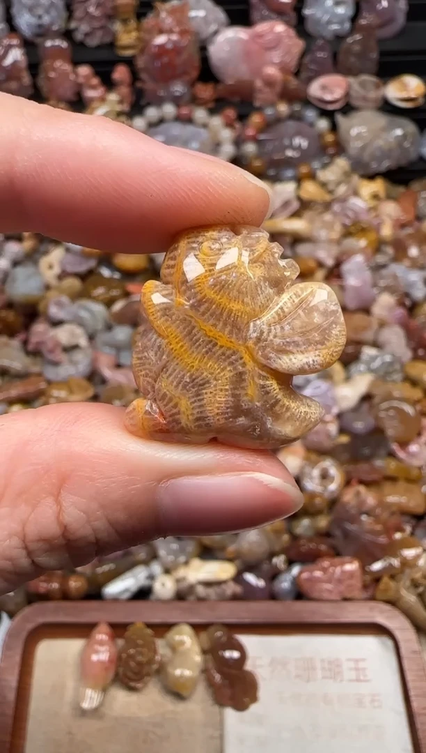 颈饰未镶嵌硅化珊瑚（珊瑚玉）669