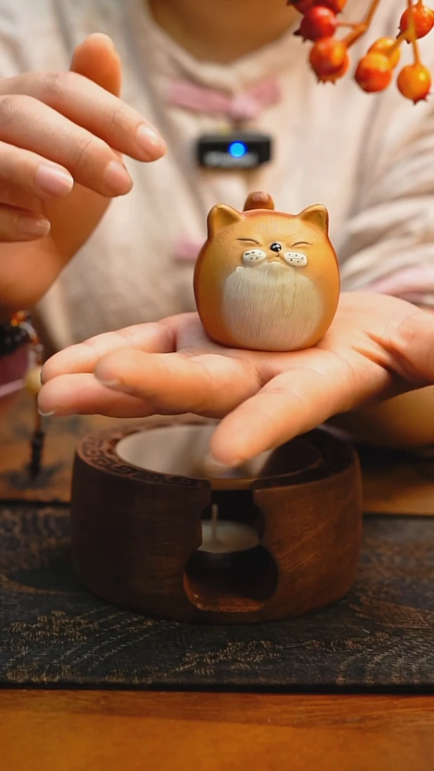 【闪购商品】黄金段橘猫茶宠 大橘为重
