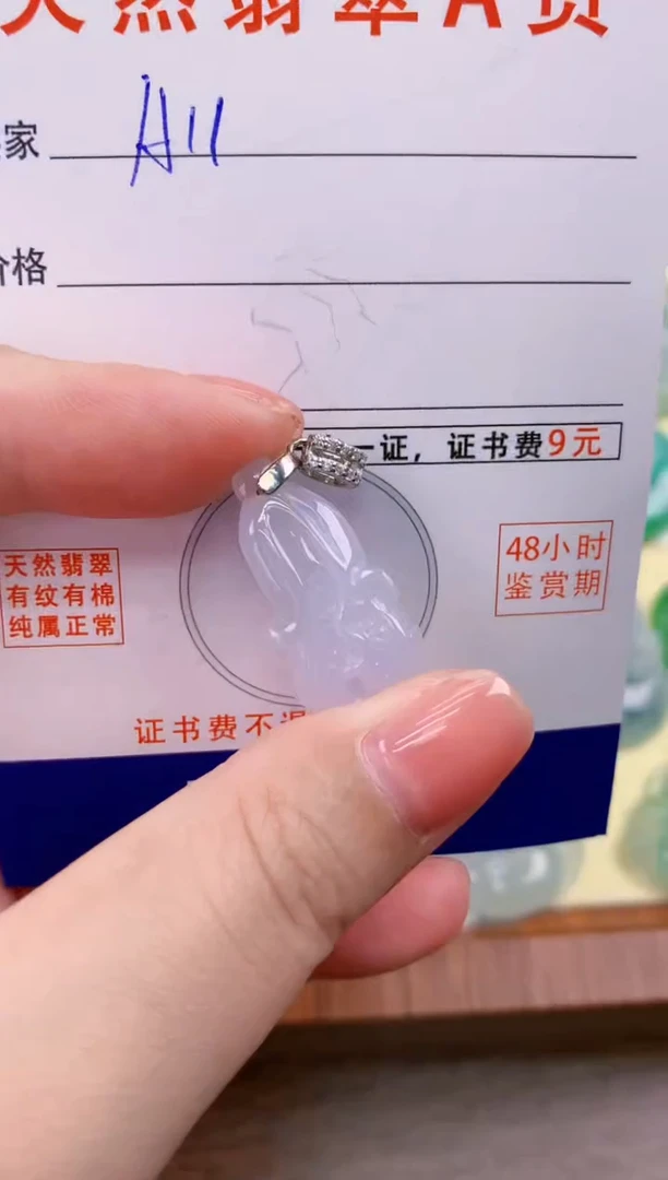 颈饰未镶嵌翡翠天然A货翡翠挂件