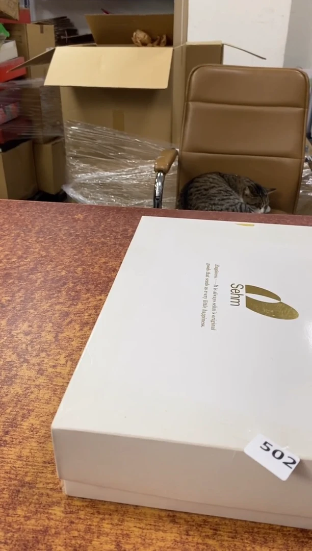 瓷片502小林轩欢迎您