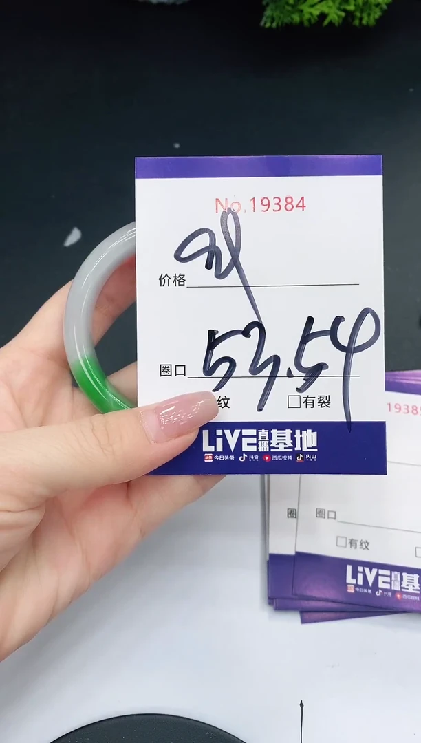 未镶嵌手镯翡翠19384