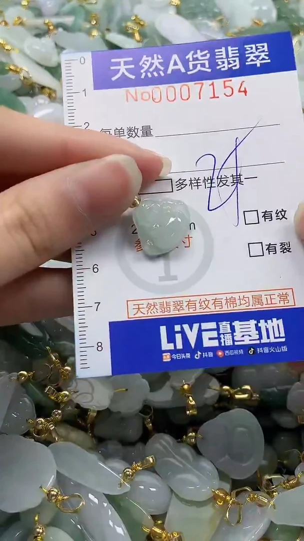 颈饰未镶嵌翡翠纯天然a货翡翠