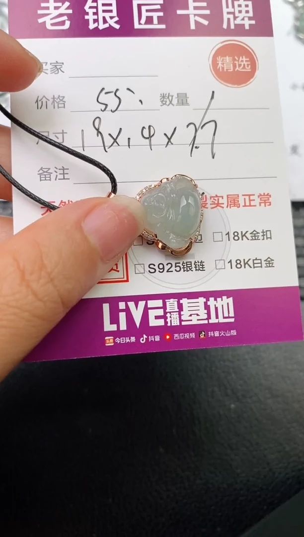 翡翠银S925镶嵌颈饰·