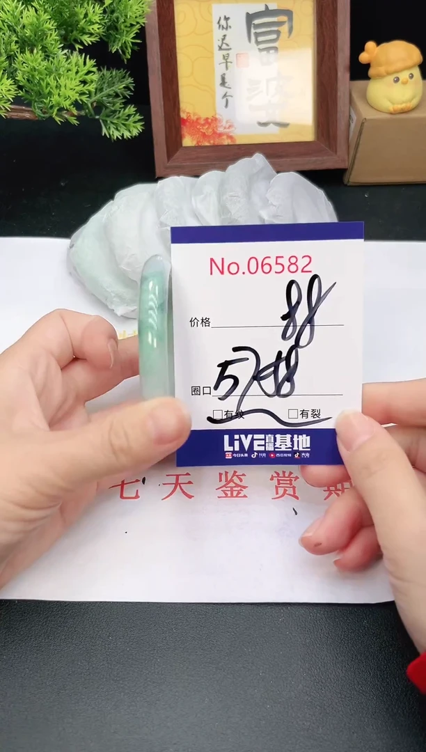 未镶嵌手镯翡翠6582