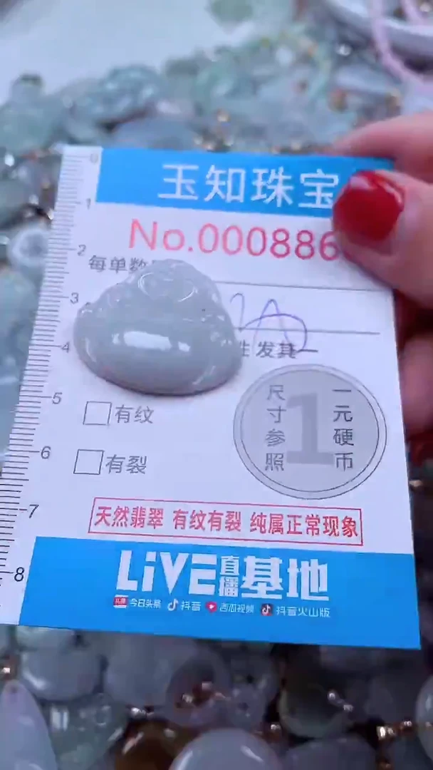 吊坠(不含链)未镶嵌翡翠8868
