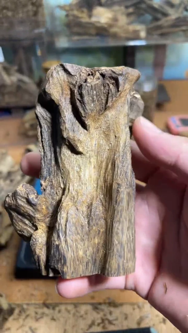 沉香沉香碎屑白棋72克57