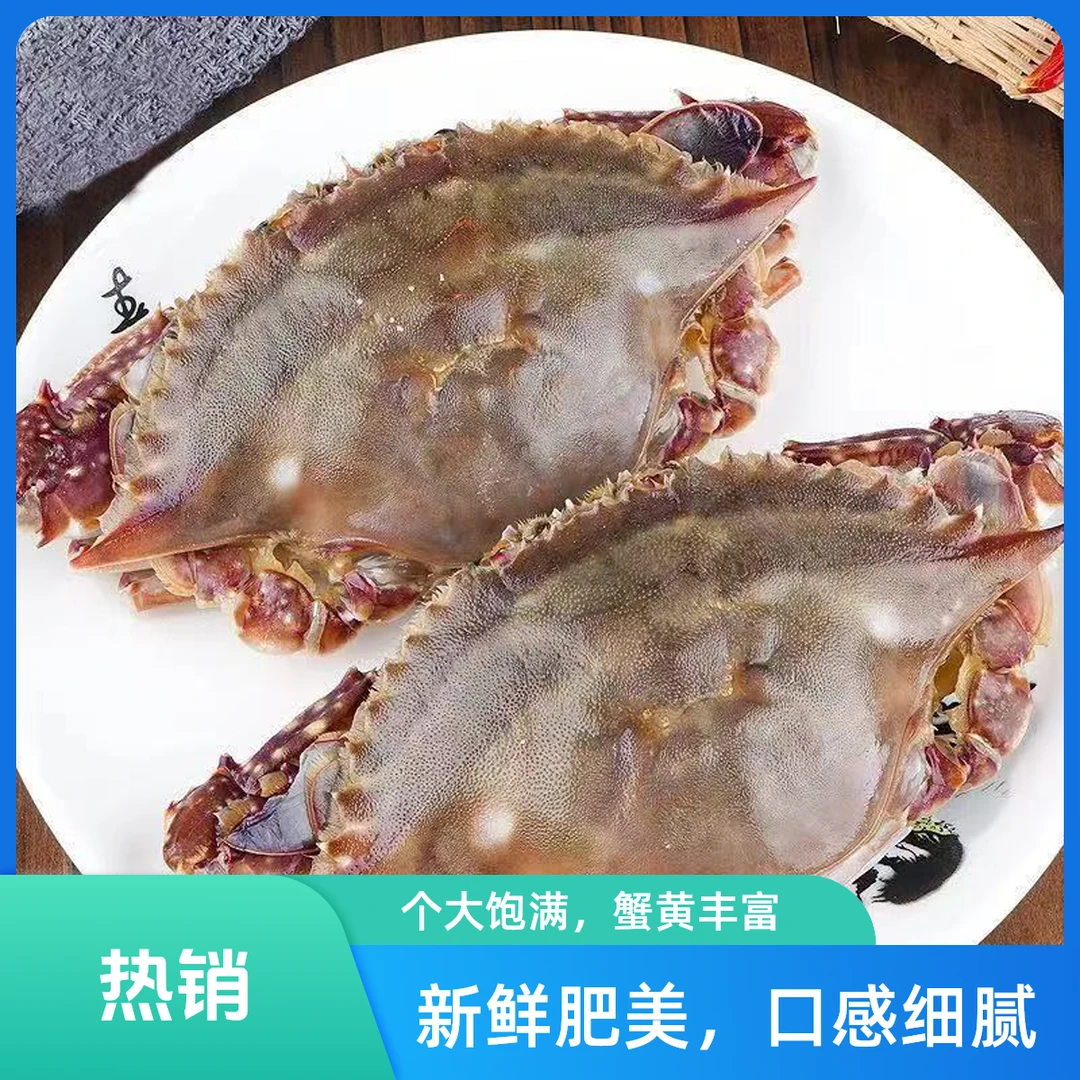 【精品白膏】舟山白膏呛蟹2-3两左右/只生吃不可蒸煮咸蟹新鲜腌制22