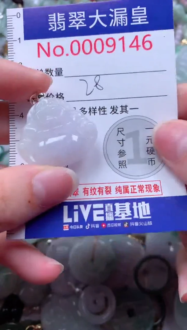 翡翠未镶嵌吊坠(不含链)9146